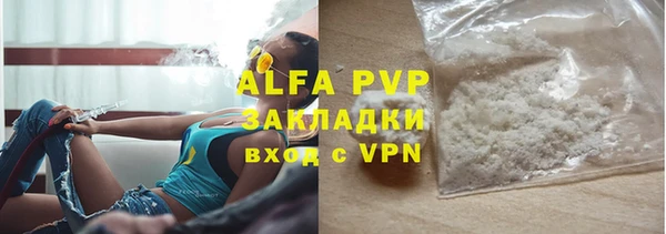 индика Абаза