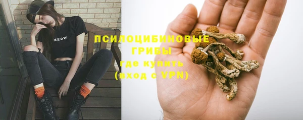 шишки Покачи