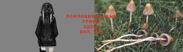 тгк Покровск