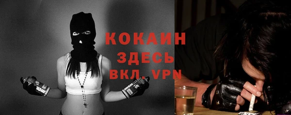 индика Абаза