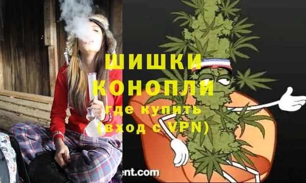индика Абаза