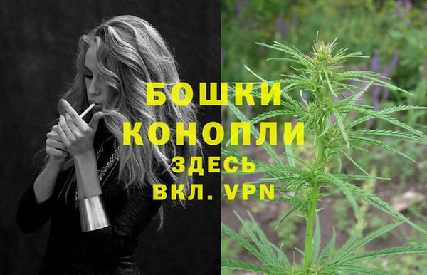 шишки Абдулино