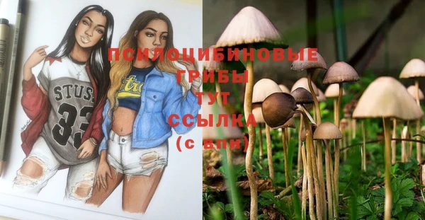 шишки Покачи