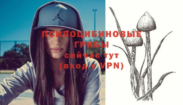 шишки Абдулино