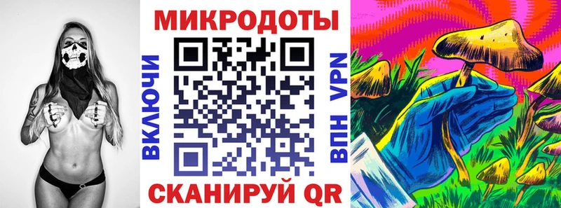 ОМГ ОМГ зеркало  Никольск  Псилоцибиновые грибы GOLDEN TEACHER 